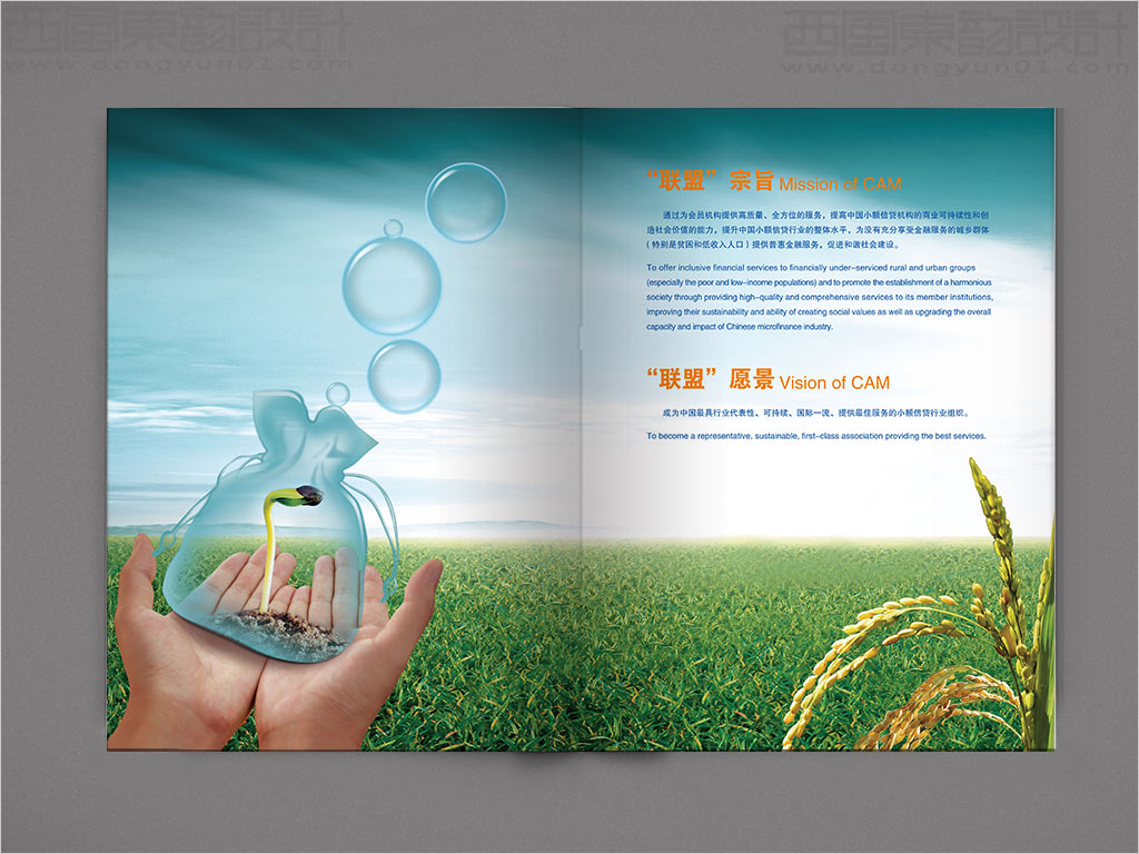 中國(guó)小額信貸聯(lián)盟年報(bào)設(shè)計(jì)之聯(lián)盟宗旨、愿景內(nèi)頁(yè)設(shè)計(jì)