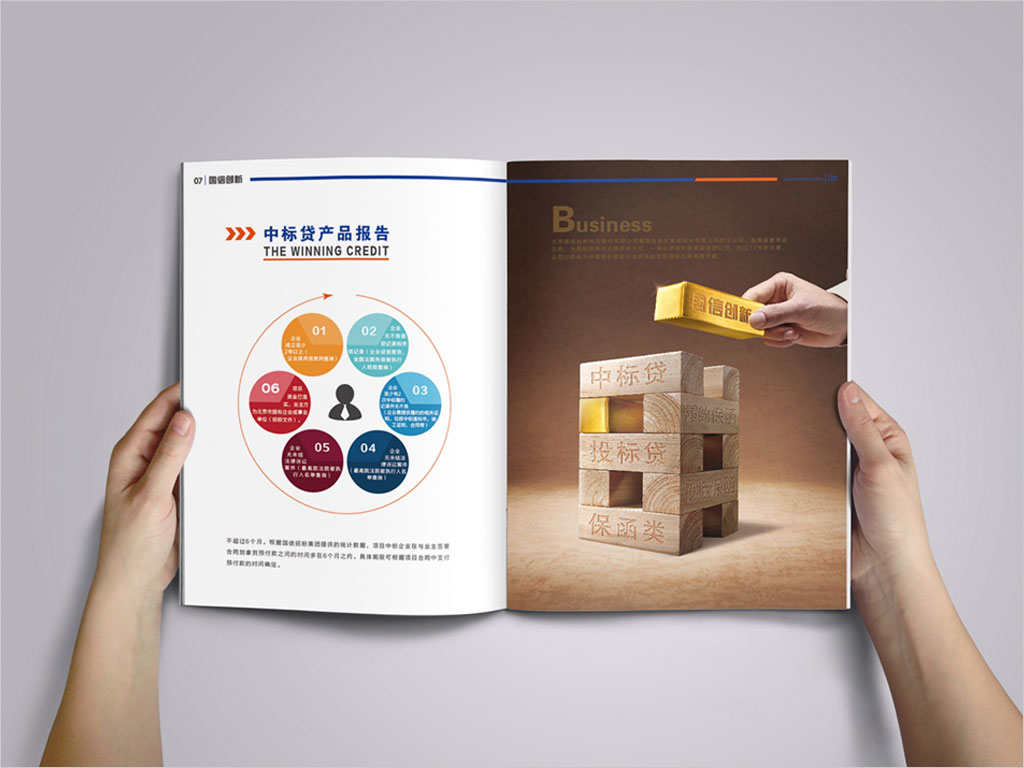 北京國信創(chuàng)新科技股份有限公司畫冊設計之中標貸產(chǎn)品報告內頁設計