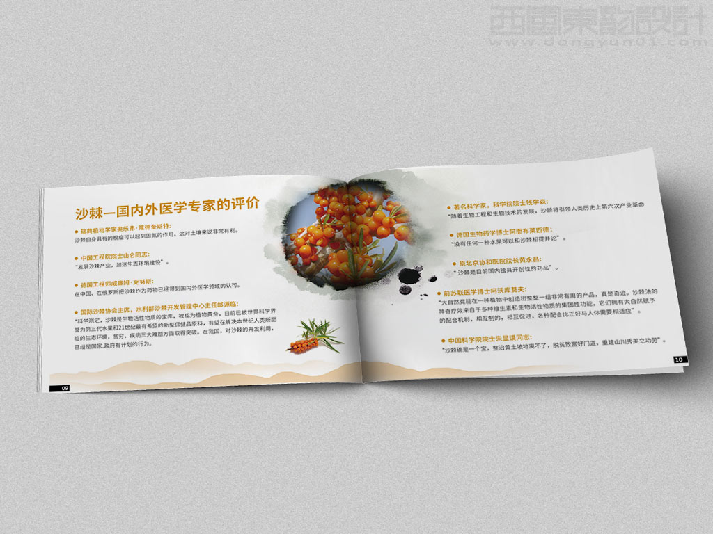 寧波市雷瑞商貿(mào)公司棘行天下產(chǎn)品手冊設(shè)計(jì)之國內(nèi)外醫(yī)學(xué)專家的評(píng)價(jià)內(nèi)頁設(shè)計(jì)