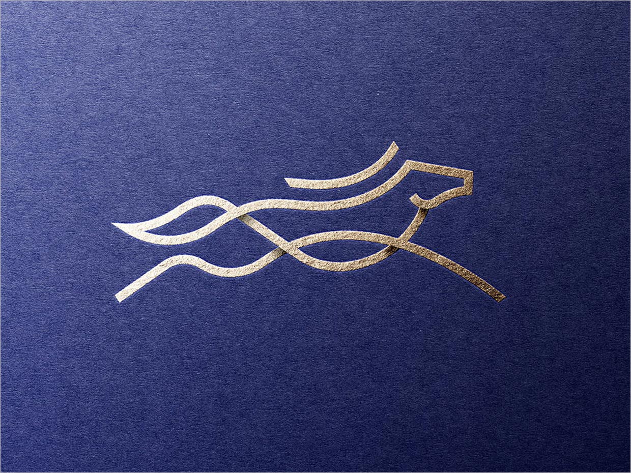 Nordic Topline寵物營養(yǎng)保健食品logo圖形設(shè)計(jì)