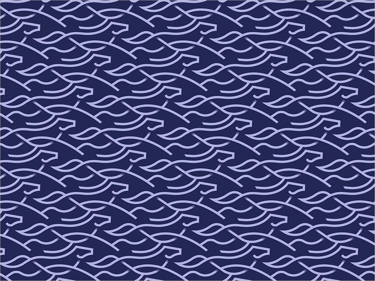 Nordic Topline寵物營養(yǎng)保健食品VI設(shè)計(jì)之輔助圖形設(shè)計(jì)