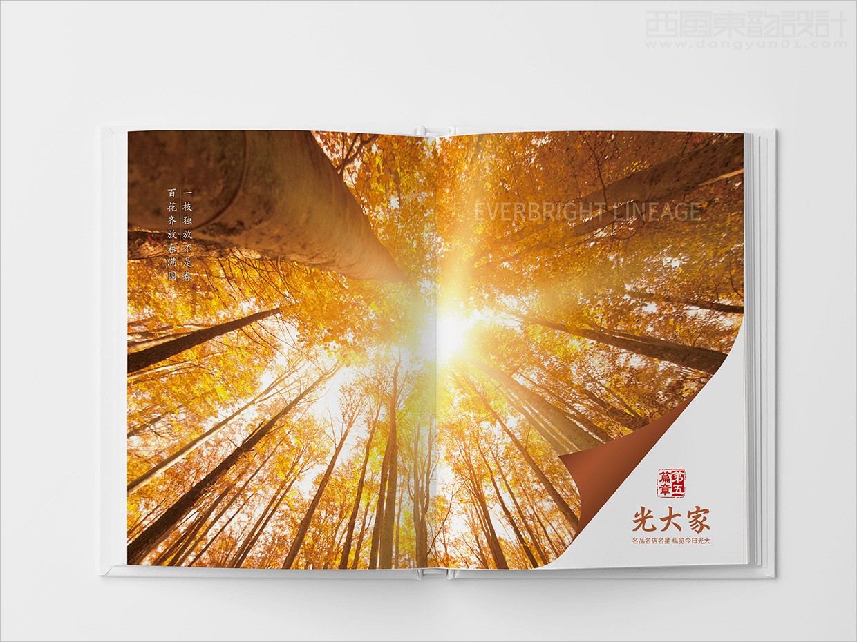 中國光大集團(tuán)畫冊設(shè)計(jì)之畫冊內(nèi)頁設(shè)計(jì) 中國光大集團(tuán)畫冊設(shè)計(jì)之畫冊內(nèi)頁設(shè)計(jì)