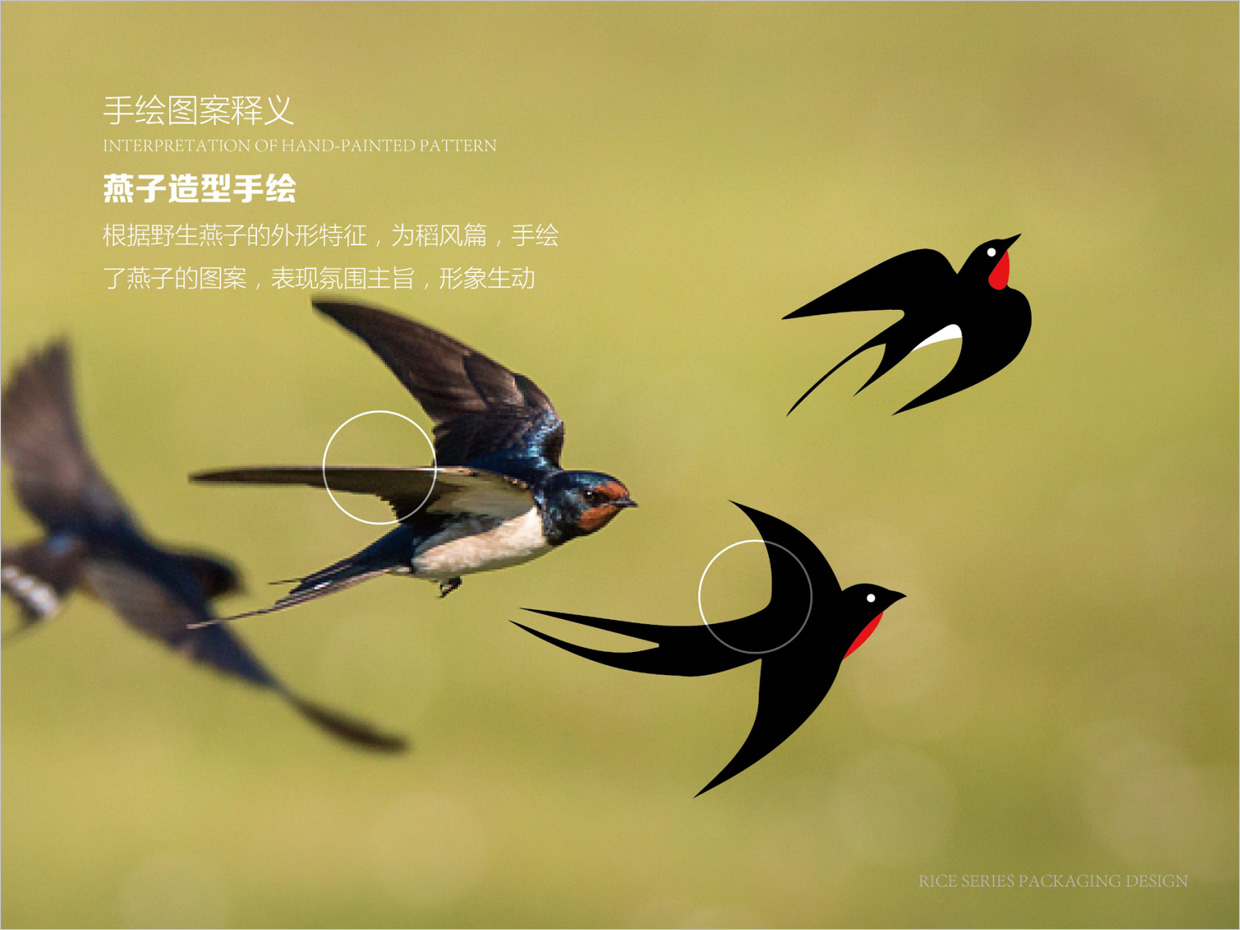 綠牧嶺大米農(nóng)產(chǎn)品包裝設(shè)計之燕子手繪插圖