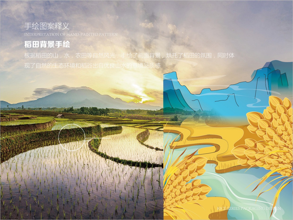 綠牧嶺大米農(nóng)產(chǎn)品包裝設(shè)計之稻田手繪插圖