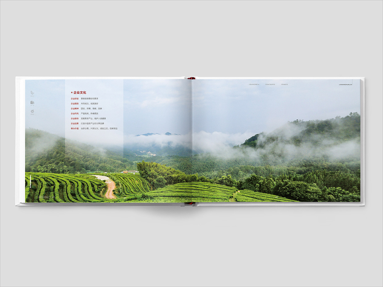 理想華萊科技集團公司畫冊設計之企業(yè)文化頁設計