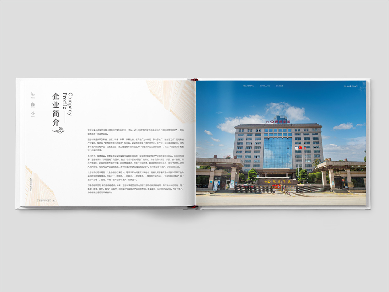 理想華萊科技集團公司畫冊設計之企業(yè)簡介頁面設計