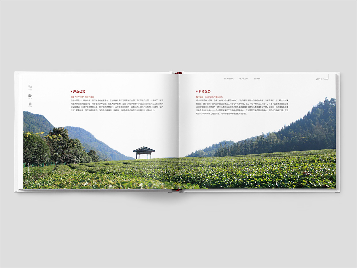 理想華萊科技集團公司畫冊設計之產(chǎn)業(yè)優(yōu)勢頁面設計