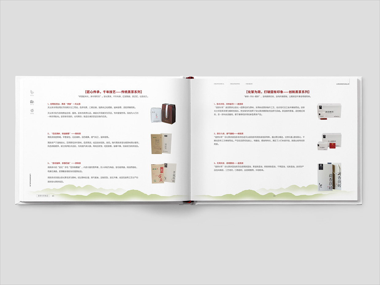 理想華萊科技集團公司畫冊設計之產(chǎn)品介紹頁面設計