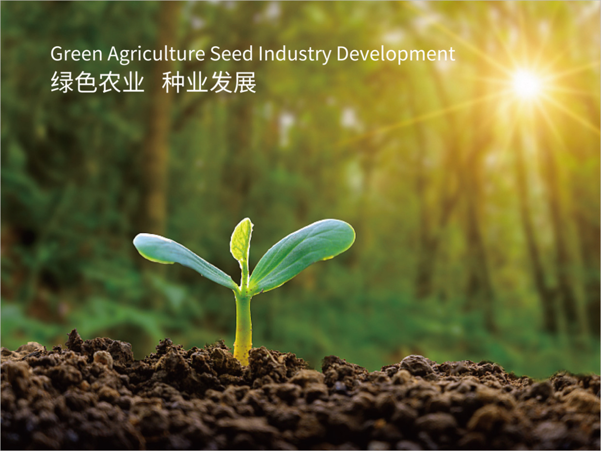 北京先農(nóng)投資管理公司logo設(shè)計(jì)創(chuàng)意理念說(shuō)明之禾苗幼芽